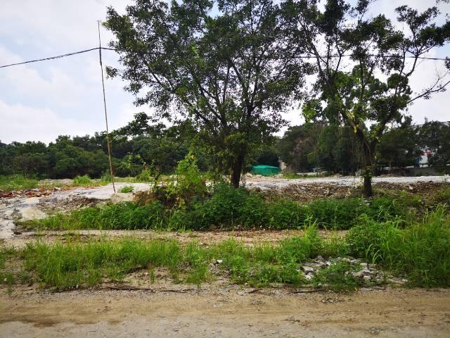 湖北随州广水新出国有指标土地130亩出售