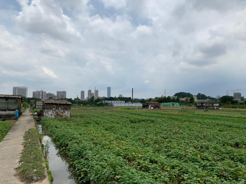 广东珠海国有双证齐全土地800亩出售1