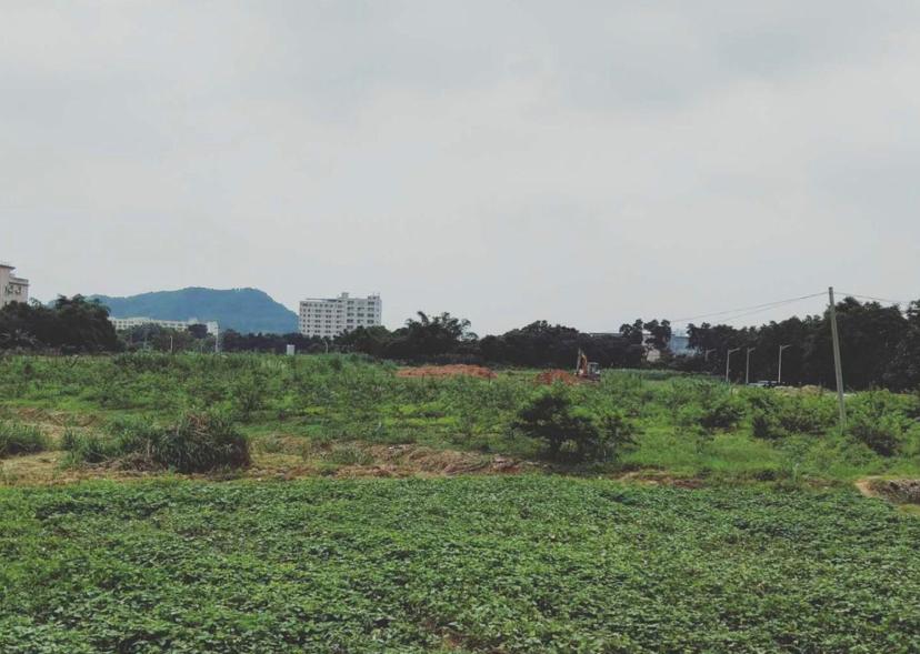 广东中山国有土地600亩出售带土地证6