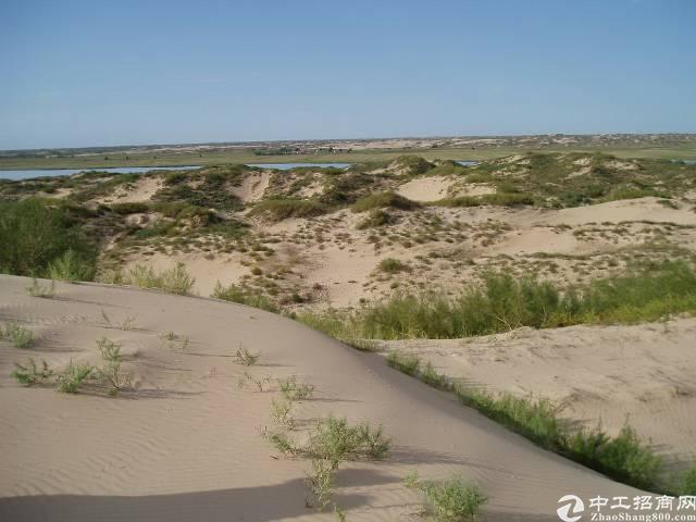 广东省江门鹤山国有土地出租100亩1