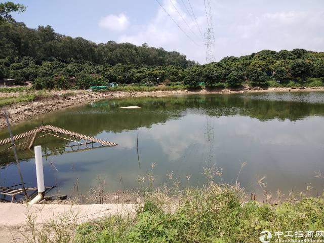 虎门镇主干道边上农田鱼塘空地出租，价格优3