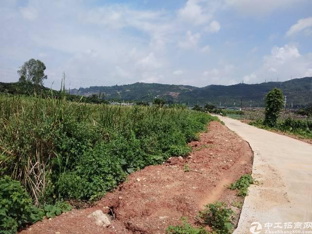 虎门镇主干道边上农田鱼塘空地出租，价格优4