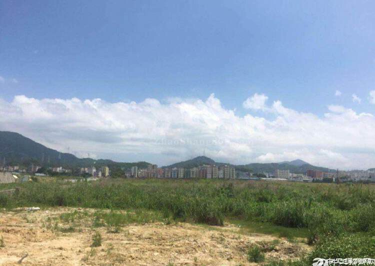 广东珠海国有带红本土地出售20亩起分割1