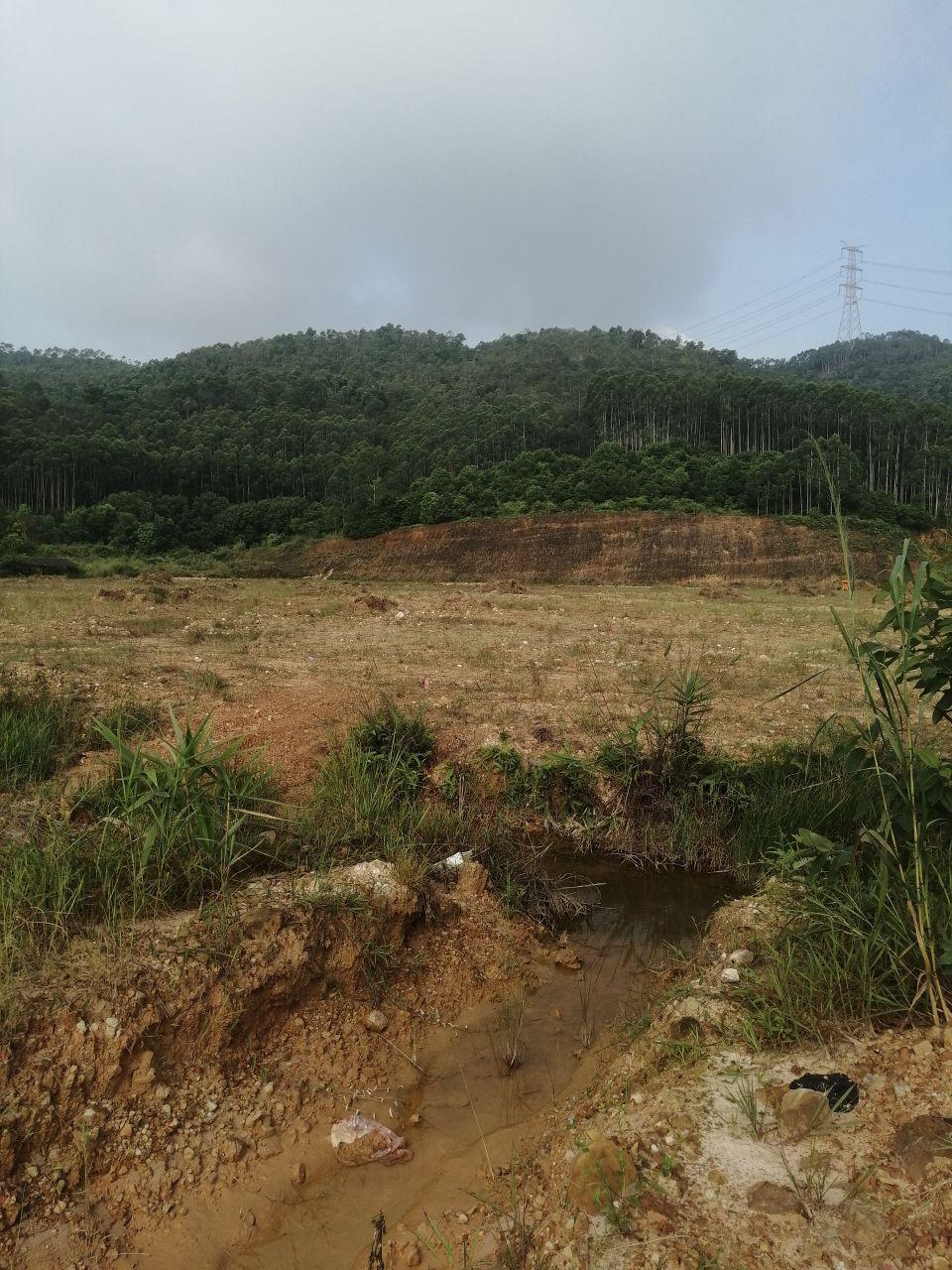 惠阳区镇隆占地28000平工业用地出售1