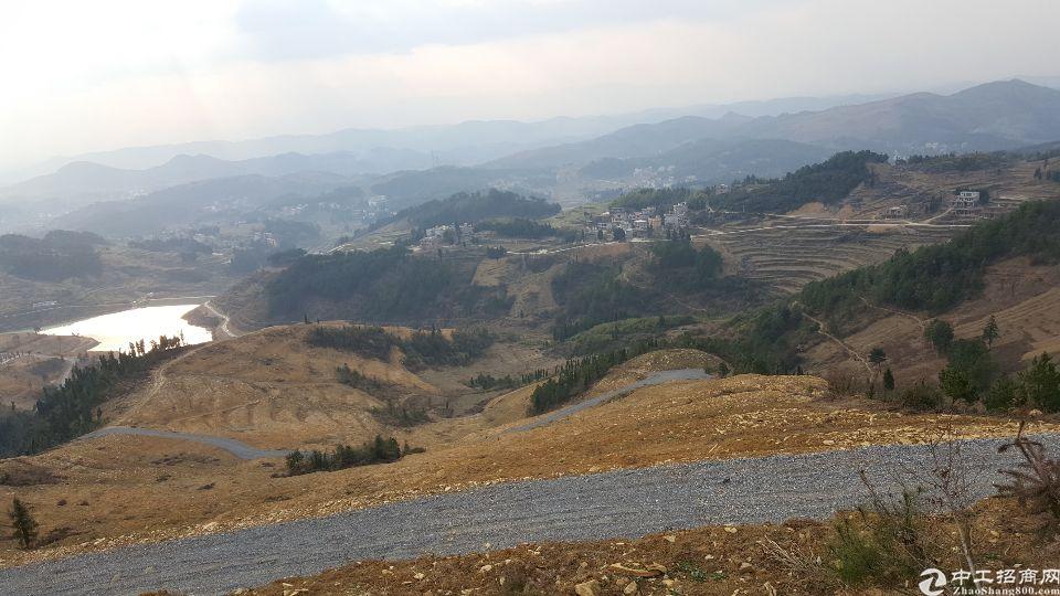 坪山坑梓附近工业用地37000平出让3