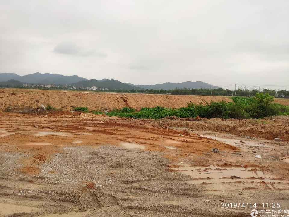 惠阳区大亚湾占地113685㎡国有证土地1