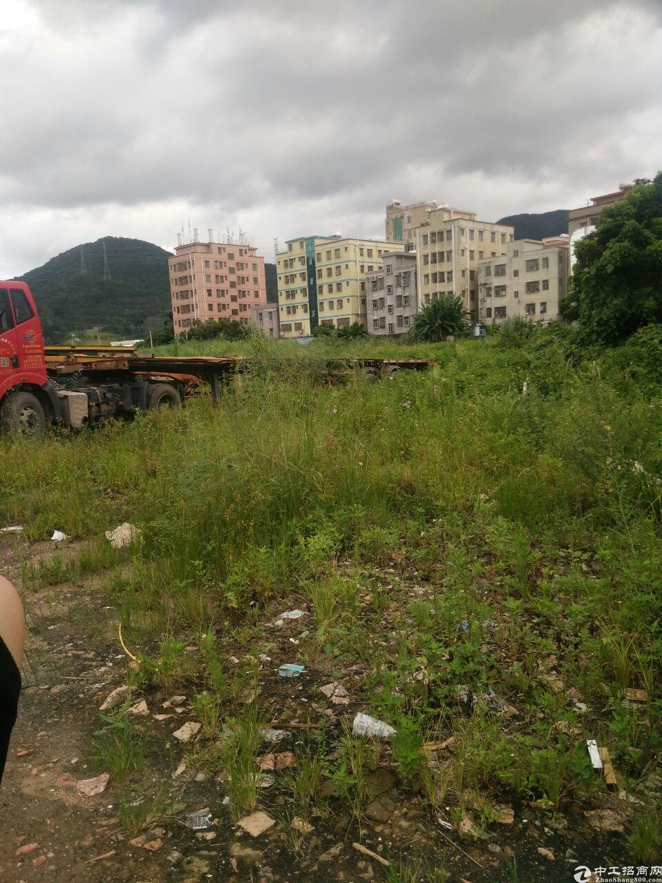 深圳坪山石井街道土地出租1