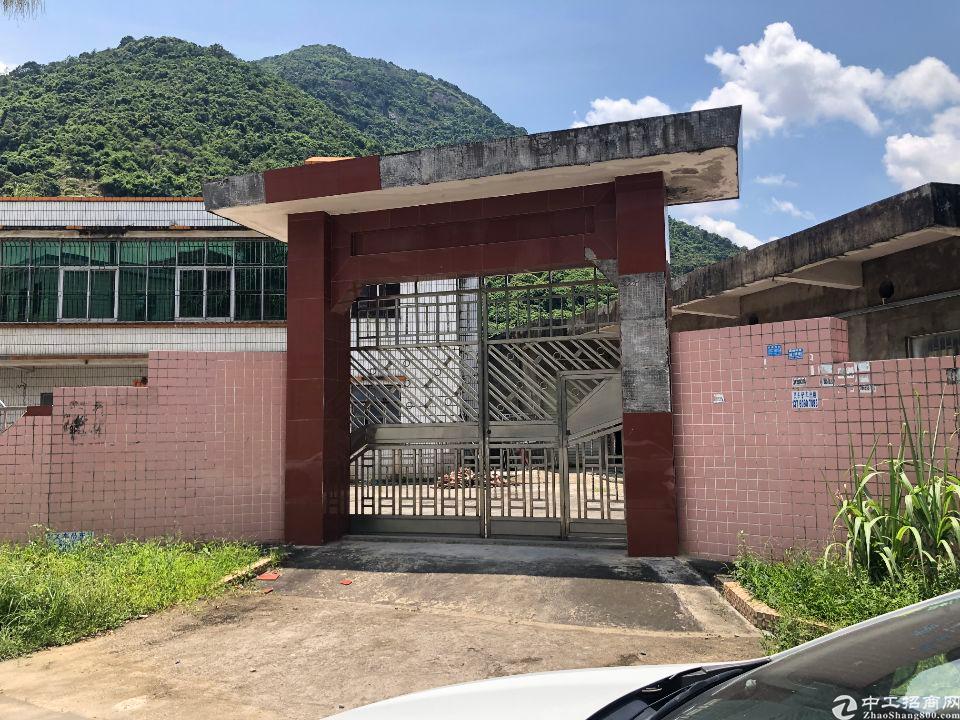 镇隆镇长龙村700平方小独院出租