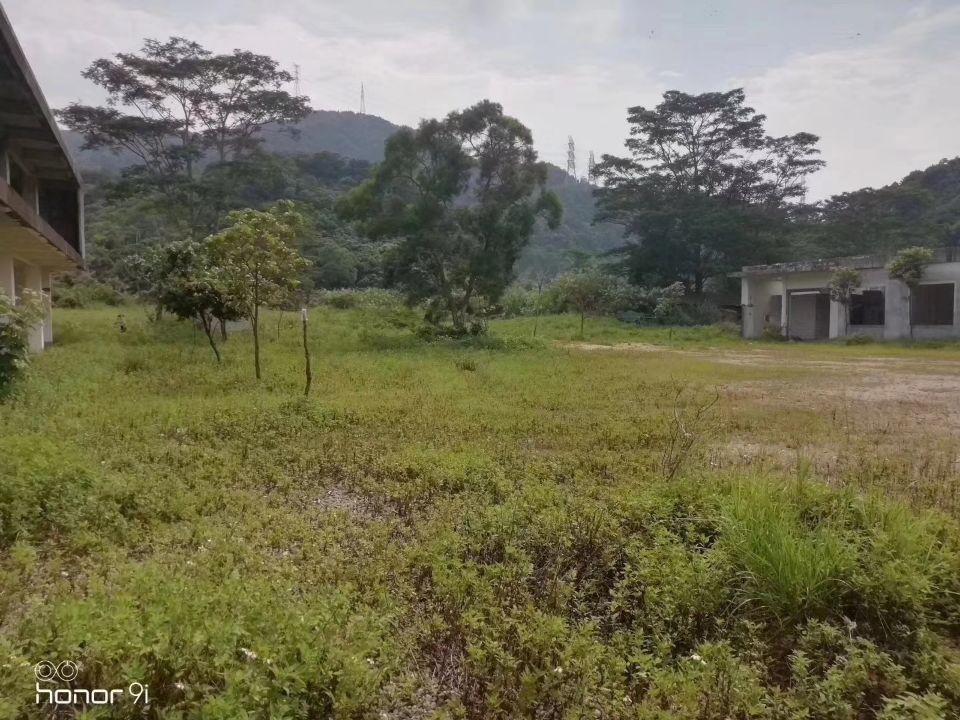 坂田红本空地9000平合同五年4