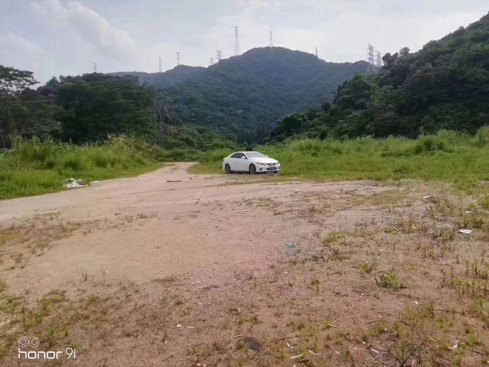 坂田红本空地9000平合同五年1