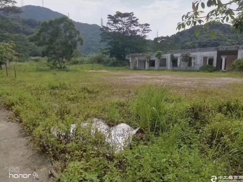 坂田红本空地9000平合同五年2