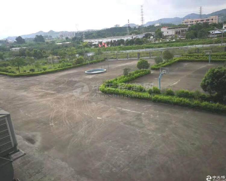 广东省有50年空地出售