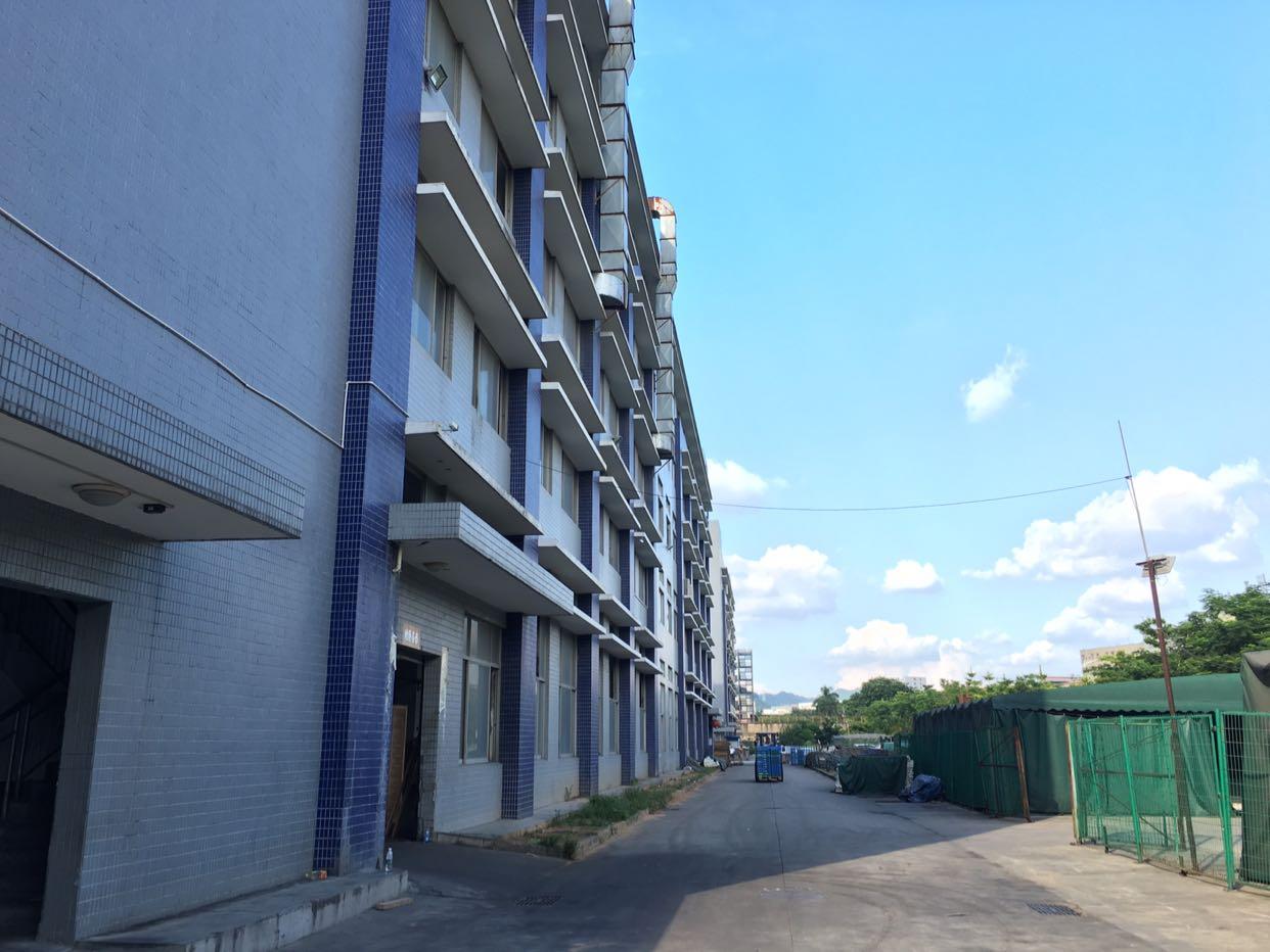 松岗燕川广田路边上新出楼上实际面积出租厂房