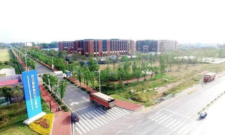 武汉新洲工业地皮出售政府招商引资