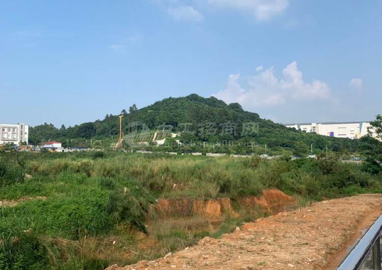 广州黄埔区国有规划工业土地100亩出售2