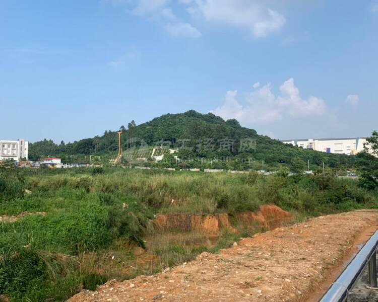广州黄埔区国有规划工业土地100亩出售
