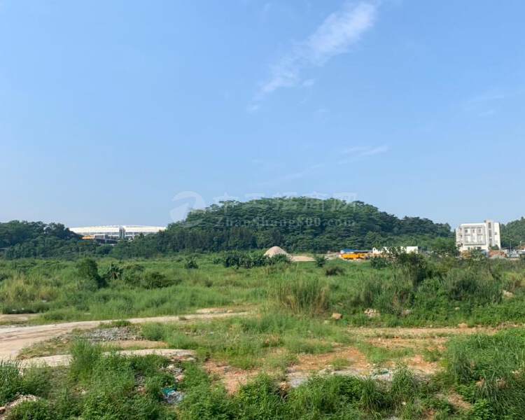 广州黄埔区国有规划工业土地100亩出售