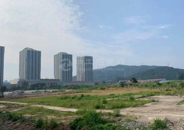 广州黄埔区国有规划工业土地100亩出售1