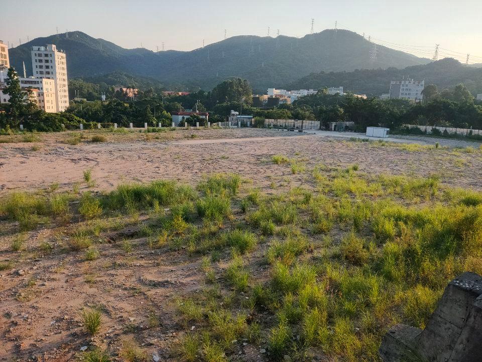 龙华大浪布龙路边空地10000招租1