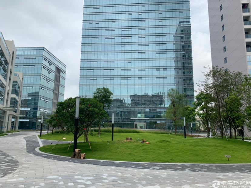 布吉上李朗科技园红本精装研发中心招租