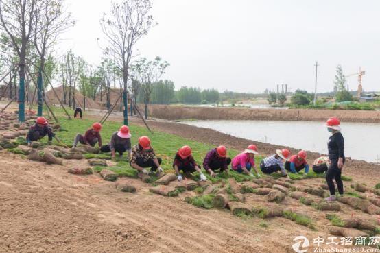 河南省许昌国有土地360亩招牌挂2