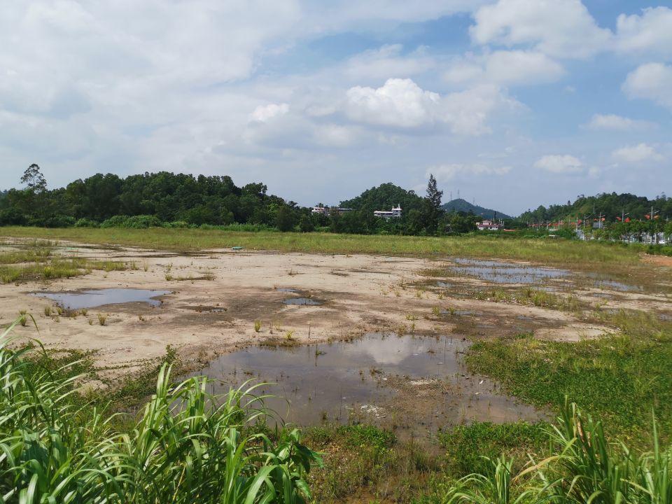 坪山坑梓附近工业用地53500平出让2