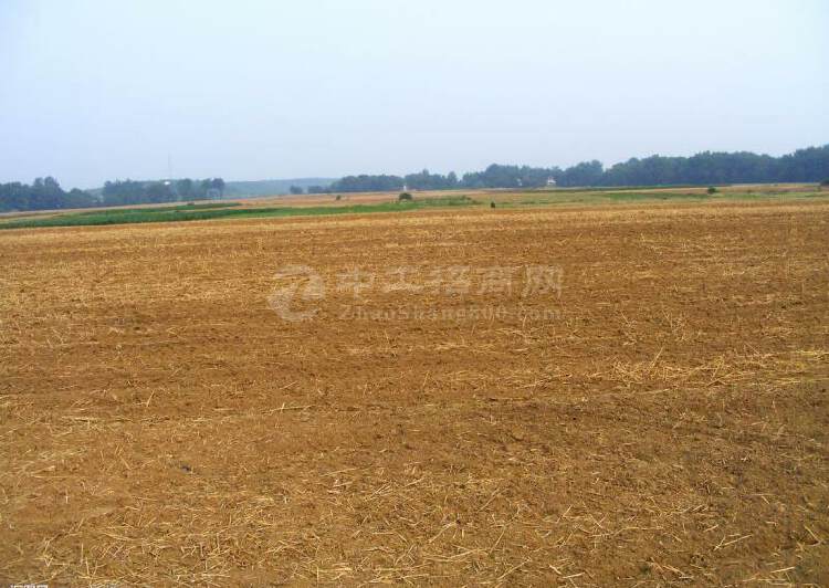 河南郑州新郑260亩国有工业土地出售可分割组合申请政府补贴1
