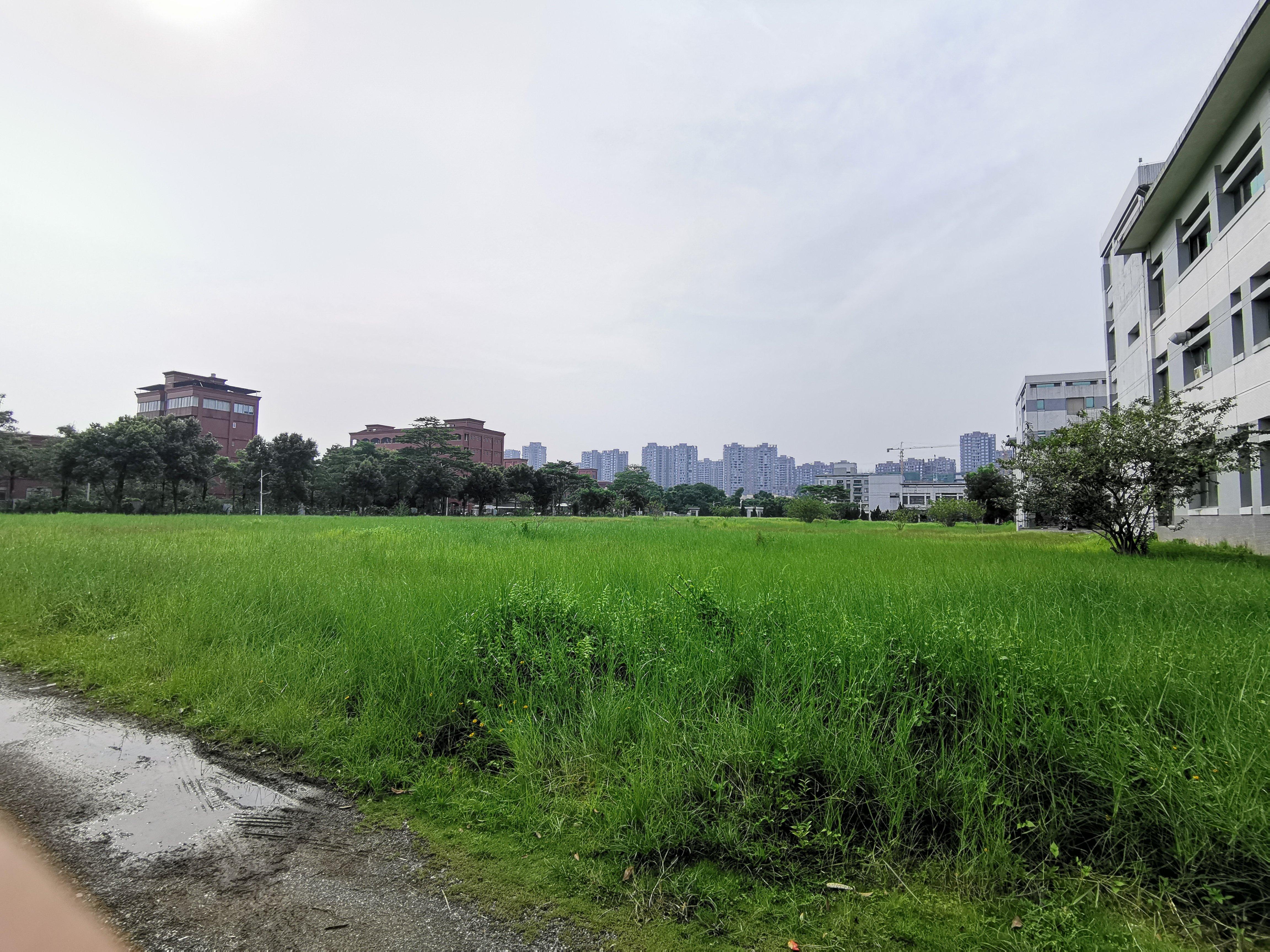 高明区荷城工业区国有证土地出售，大小可分割！超长年限价格便宜1