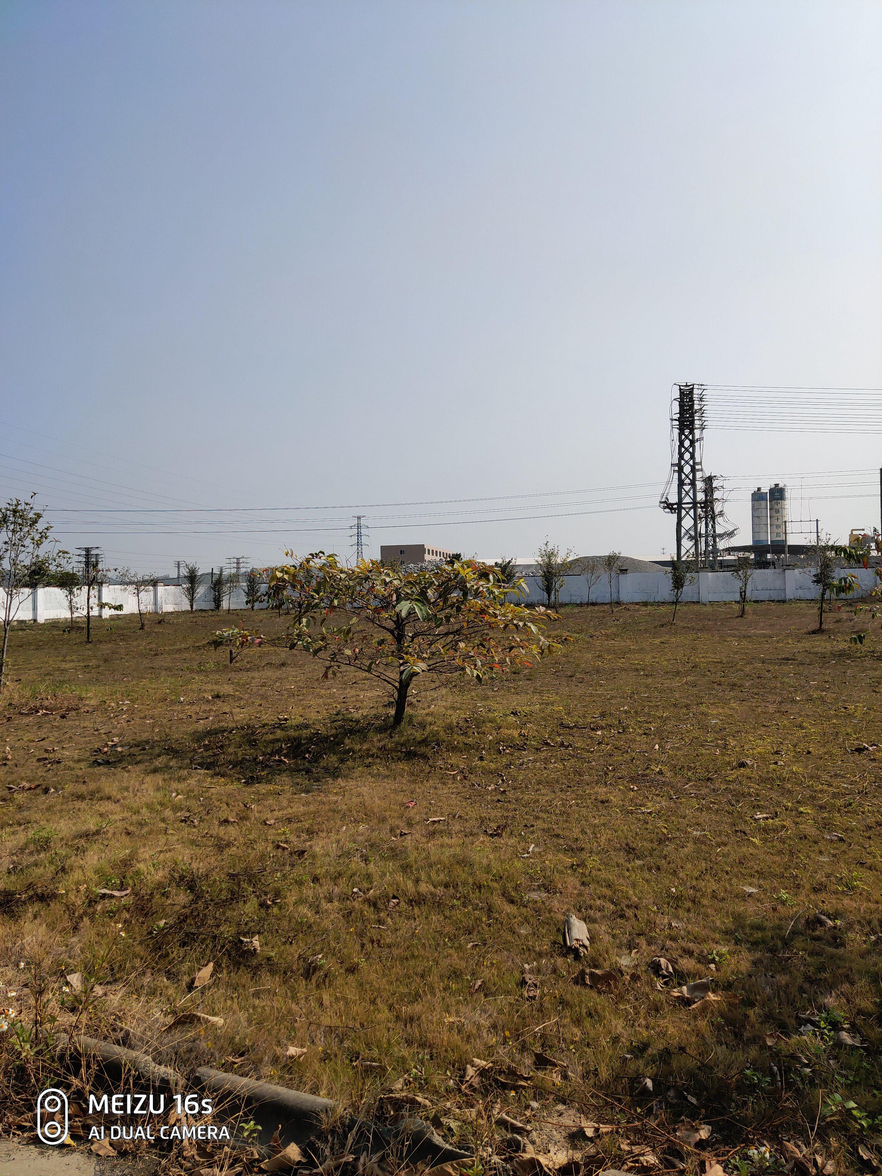 佛山市高明区更合镇国有土地出售红本土地可订建土地1