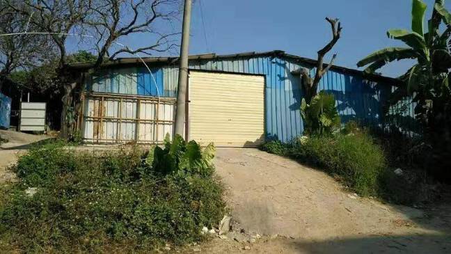 塘厦石潭埔单一层钢构原房东出租