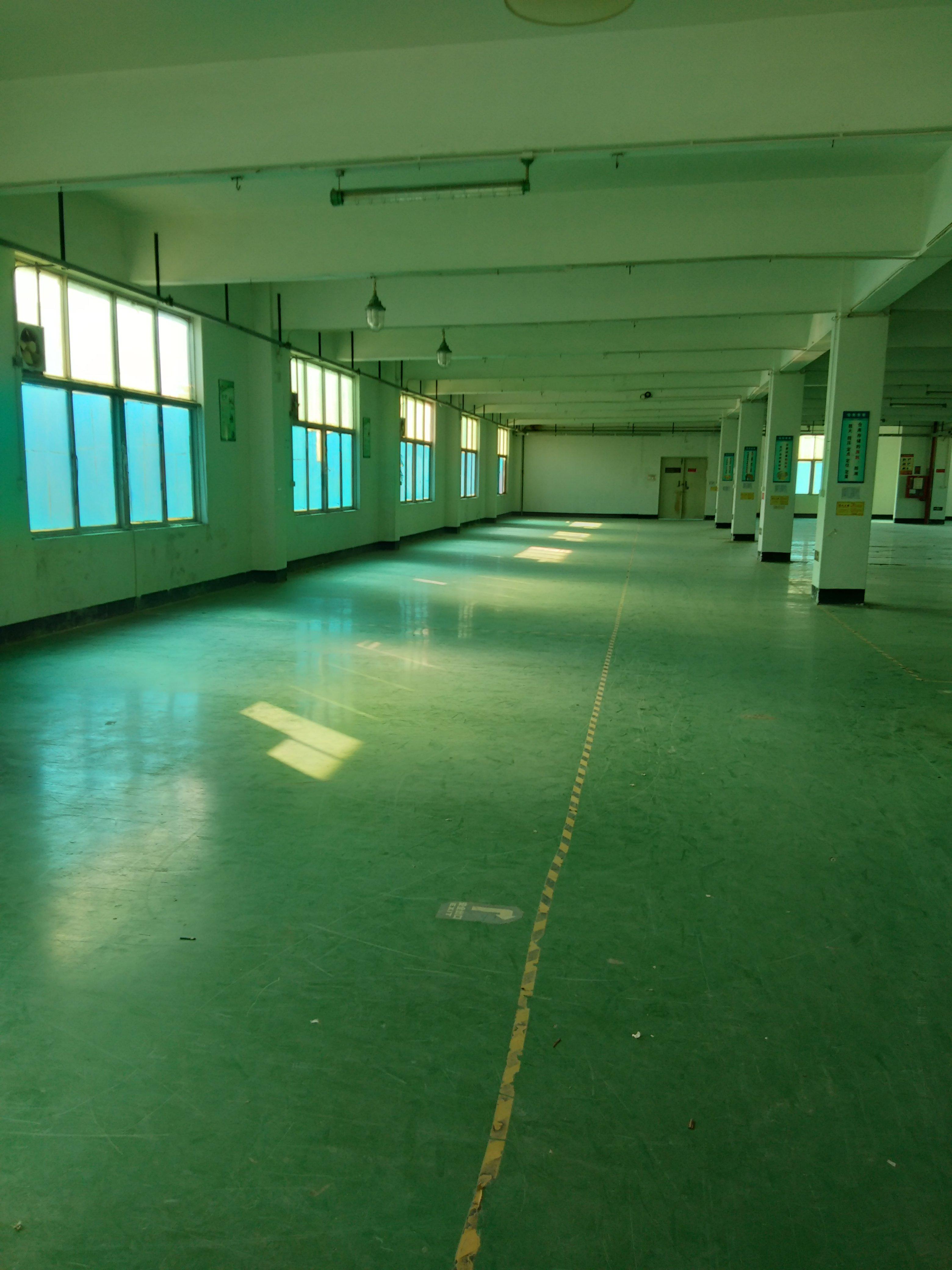 福永新和1680平全空厂房出租