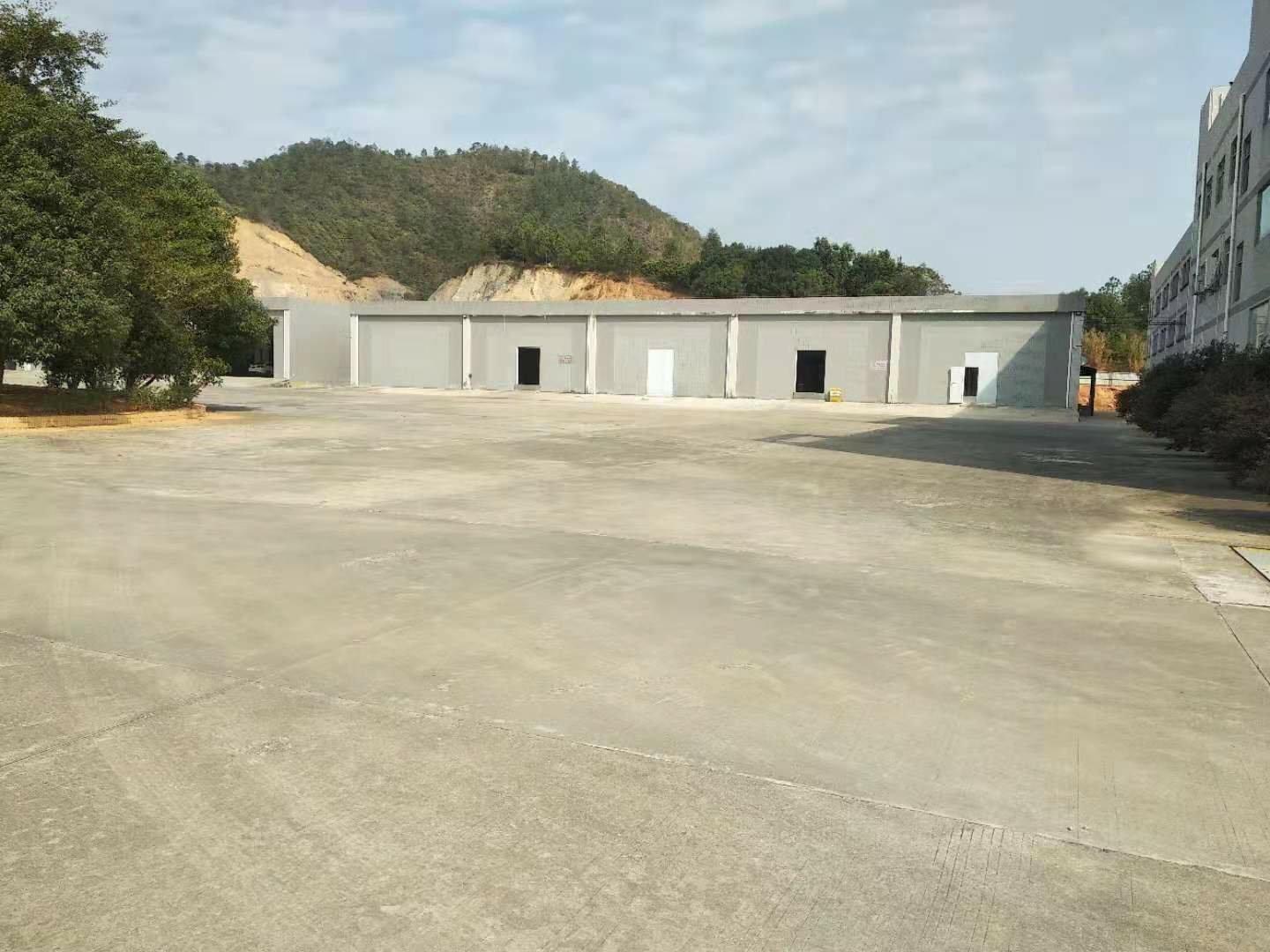 惠东白花镇356省道旁水泥平房单一层仓库700平出租