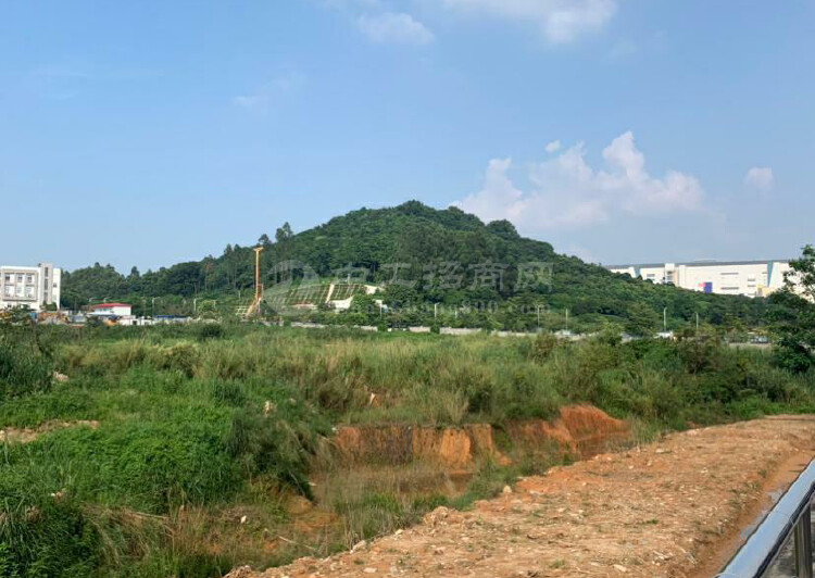 广州市黄埔区新出国有规划100亩工业用地出售1