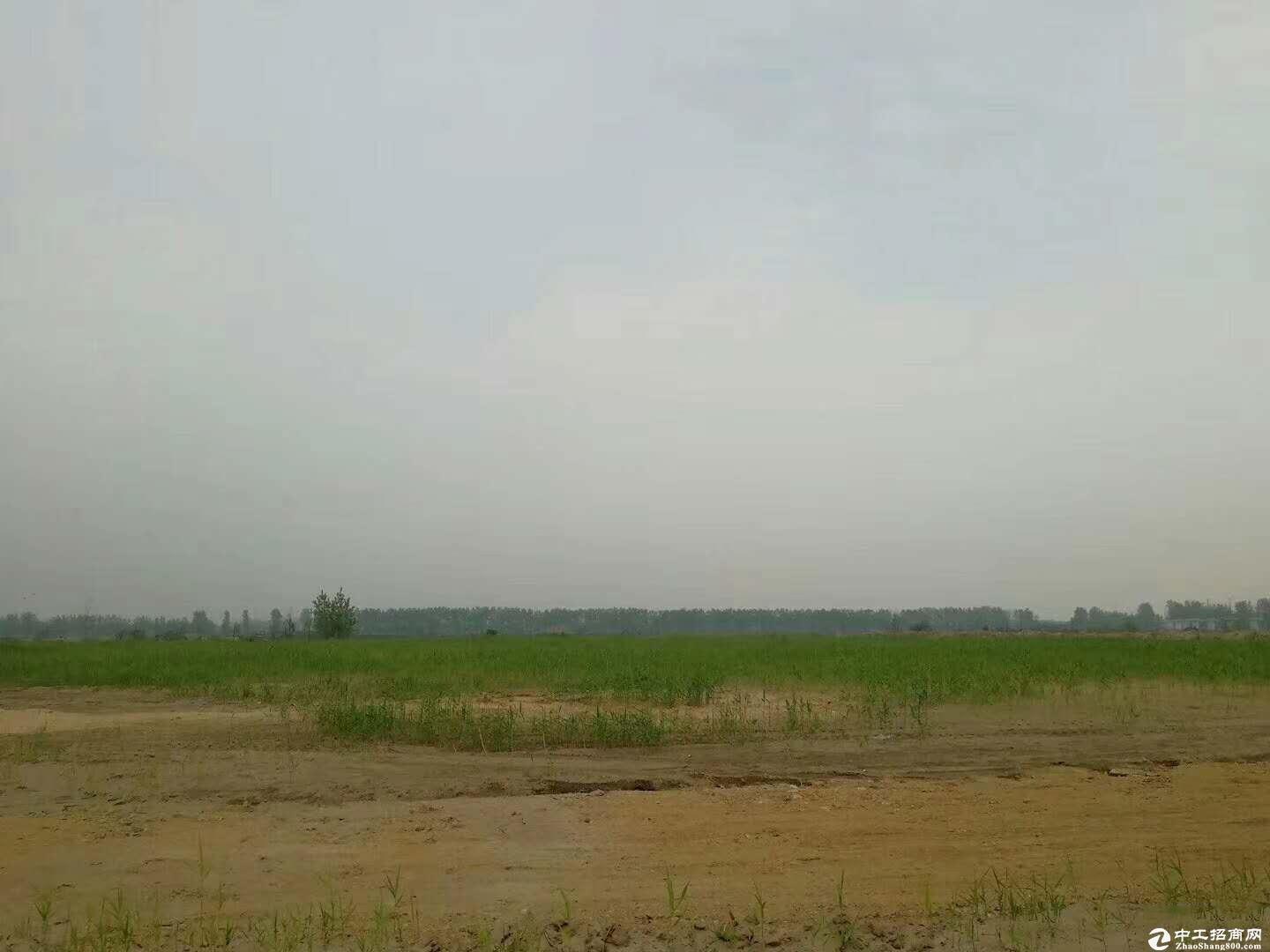 深圳周边103亩国有一手红本土地出售20亩起售