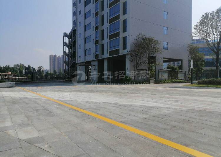 深圳市龙岗区布吉高速路口开发商全新写字楼出售4