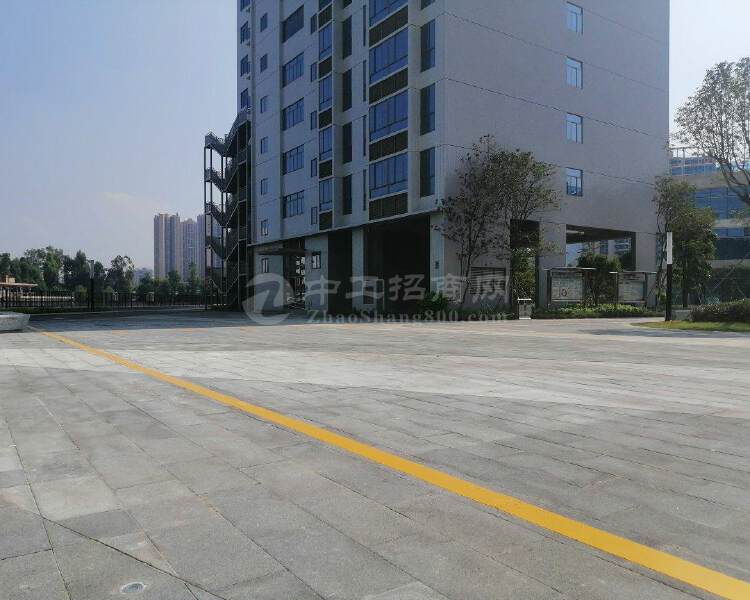 深圳市龙岗区布吉高速路口开发商全新写字楼出售