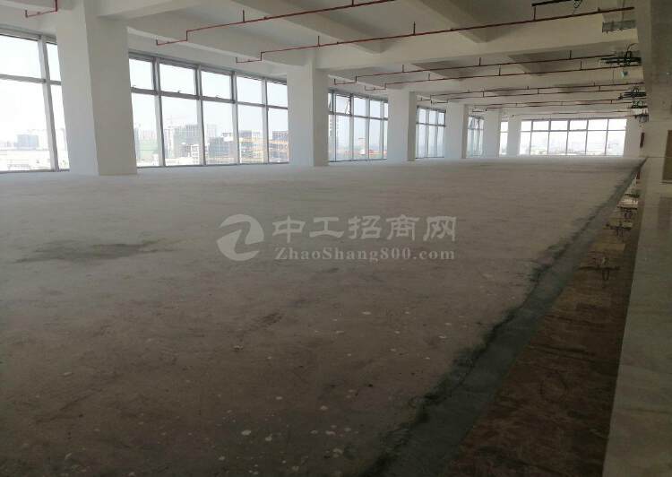深圳市龙岗区布吉高速路口开发商全新写字楼出售6