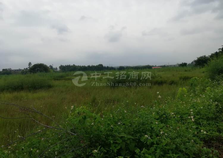 四川省浦江市国有红本工业用地三通一平50亩可分割出售3