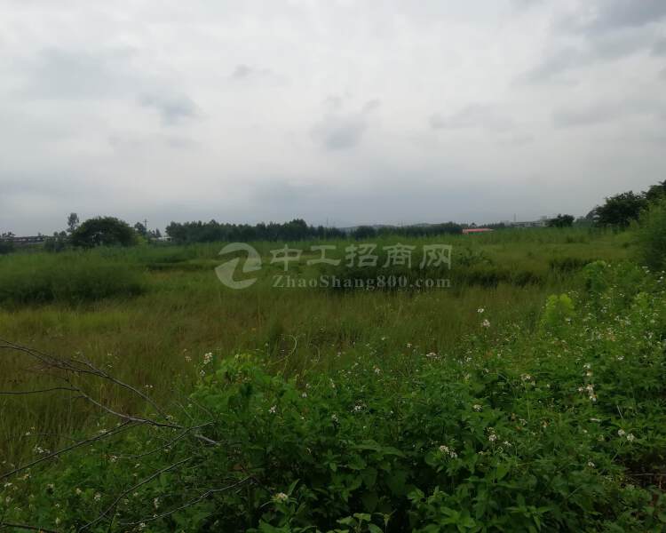 四川省浦江市国有红本工业用地三通一平50亩可分割出售