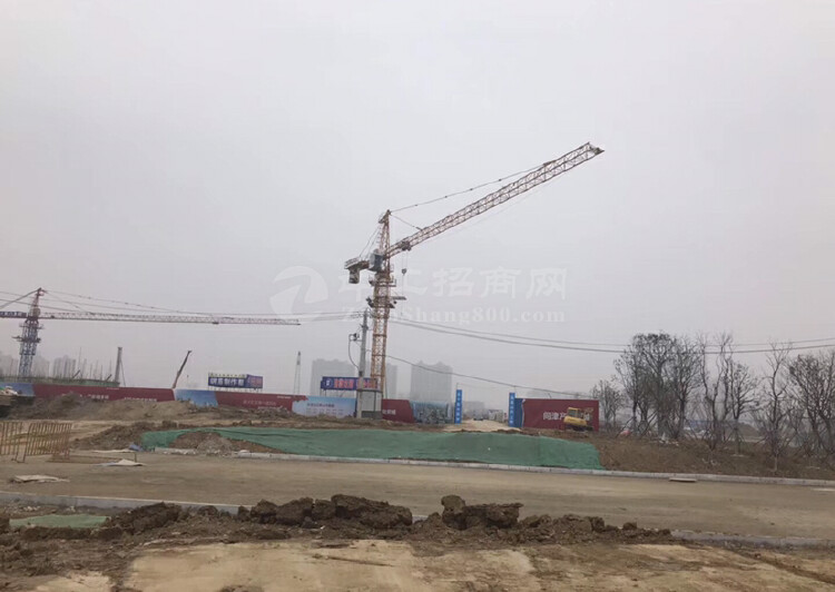 咸阳泾阳县，工业土地指标充足，可落重大项目，工业用地出售可分1