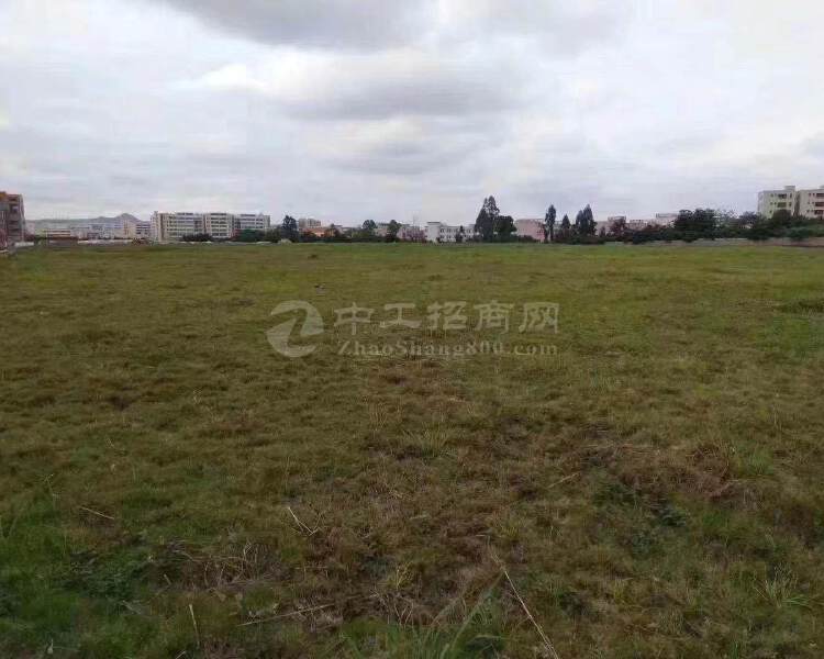 广东中山市民众镇国有土地出售50万元每亩