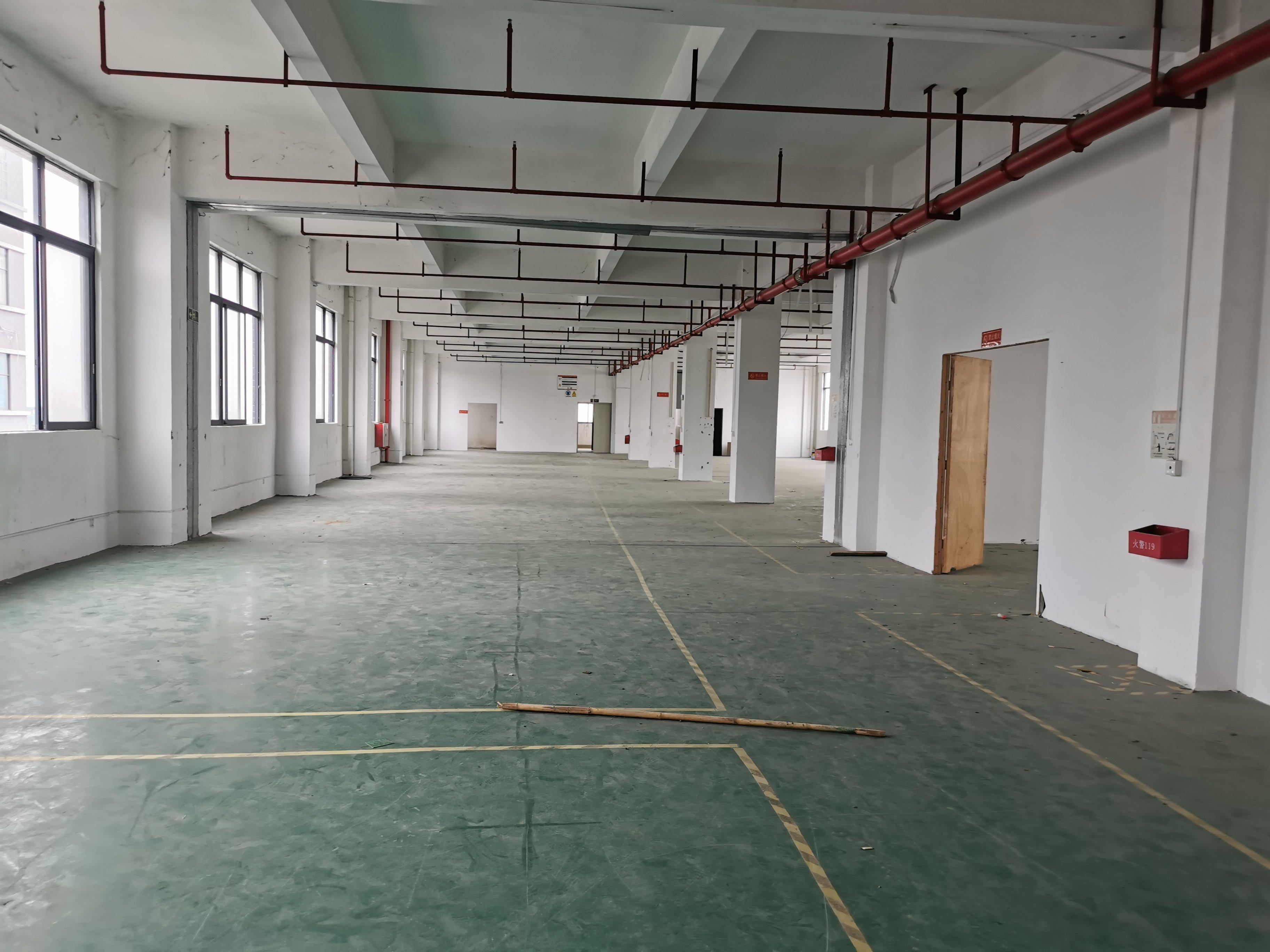 5米 电梯两部三吨,带卸货平台 供电80kva 空地2000平 厂房内部有现成