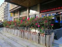 深圳市龙岗区坂田五和大道边上开发商花园式甲级写字楼出售