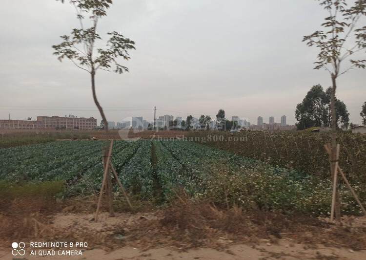 惠州镇隆新出红本工业用地106亩出售可分割出售2