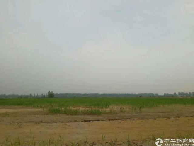 广东湛江市优质国有土地150亩出售政府补贴更多