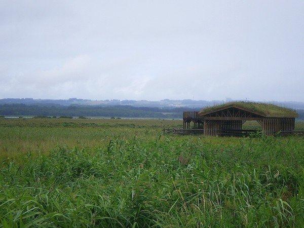 广东省江门鹤山200亩优质国有土地出售，政府补助更多1