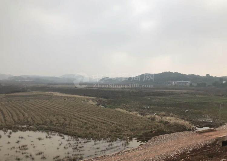 湖南湘潭187亩国有指标工业土地出售可分割组合申请政府补贴1