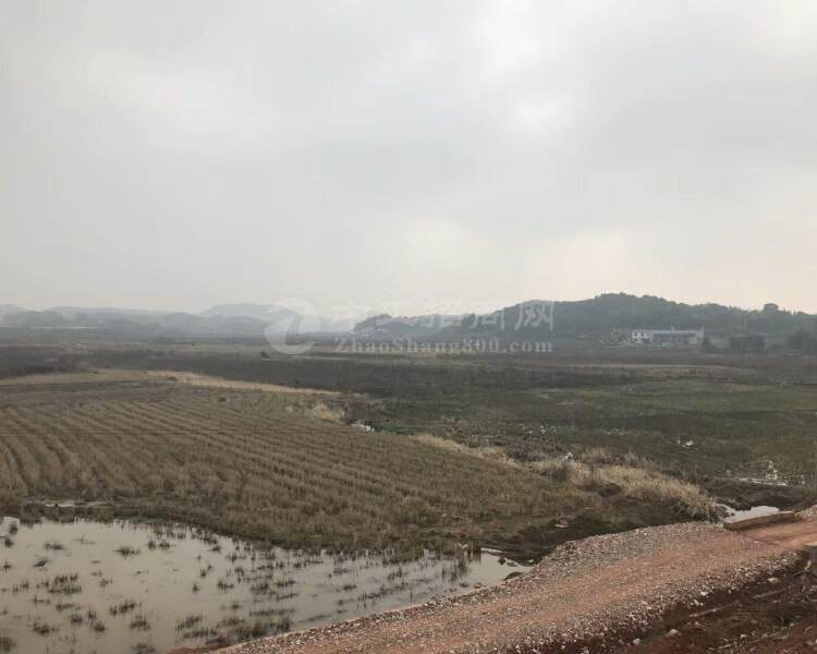 湖南湘潭187亩国有指标工业土地出售可分割组合申请政府补贴