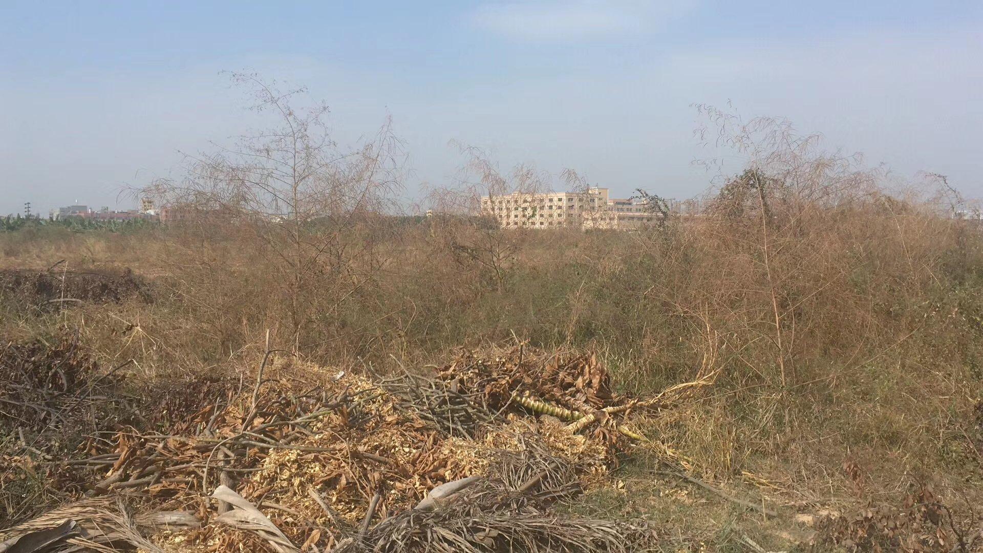 新出带红本国有证件土地，100亩价格面谈，同时，各个城市均覆