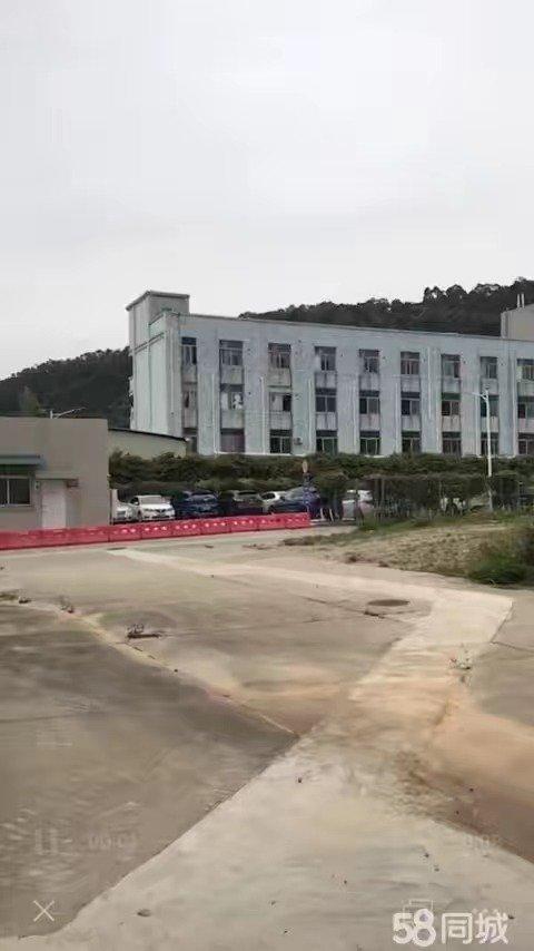 公司出租大面积地土可堆放建材水泥搞拌等多种用途水电齐全3